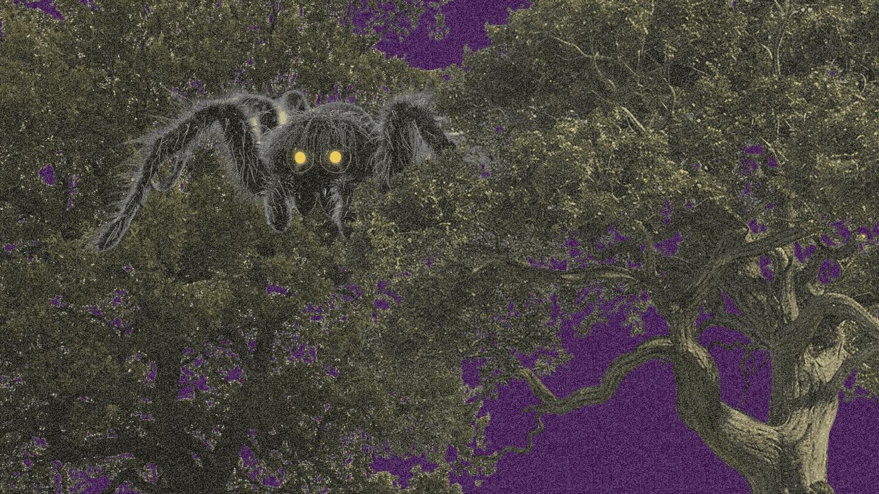 Что такое фобия? Простыми словами о непростом расстройстве