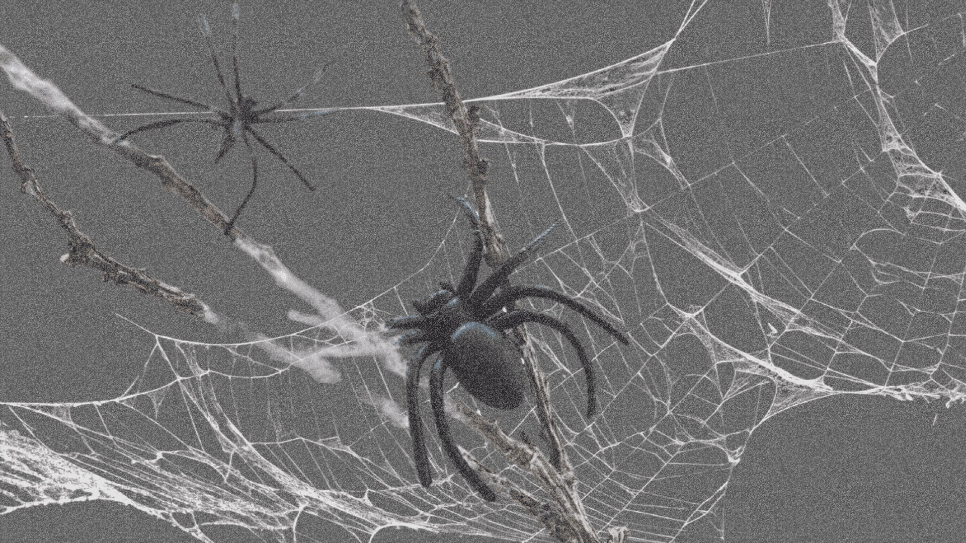 Злость как базовая эмоция человека: для чего она нужна?